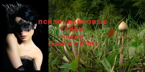 бошки Алексеевка