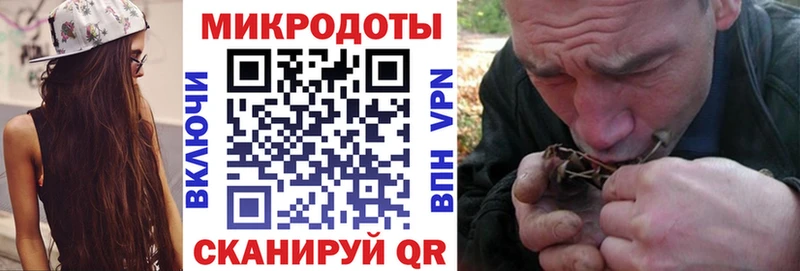 купить закладку  Георгиевск  Псилоцибиновые грибы мухоморы 